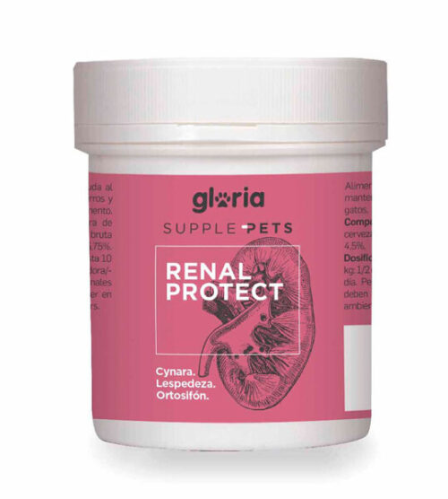 Salud digestiva perros 10